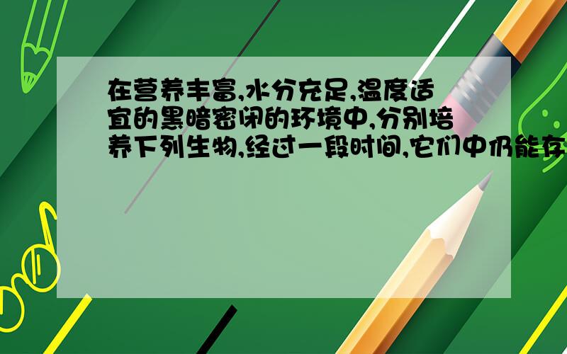 在营养丰富,水分充足,温度适宜的黑暗密闭的环境中,分别培养下列生物,经过一段时间,它们中仍能存活的是（）