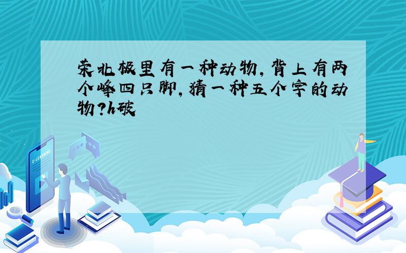 荣北极里有一种动物,背上有两个峰四只脚,猜一种五个字的动物?h破