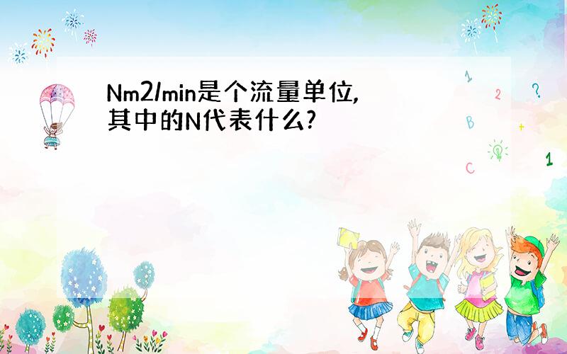 Nm2/min是个流量单位,其中的N代表什么?