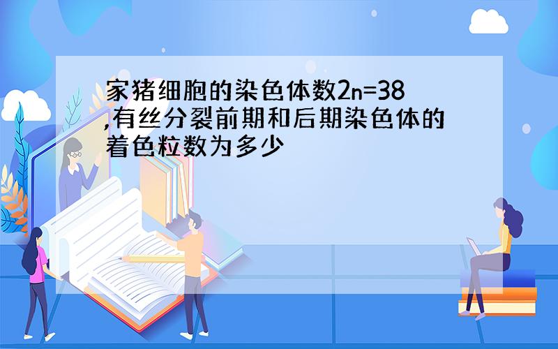 家猪细胞的染色体数2n=38,有丝分裂前期和后期染色体的着色粒数为多少