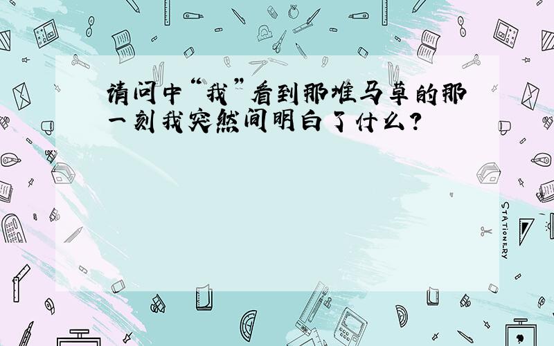 请问中“我”看到那堆马草的那一刻我突然间明白了什么?