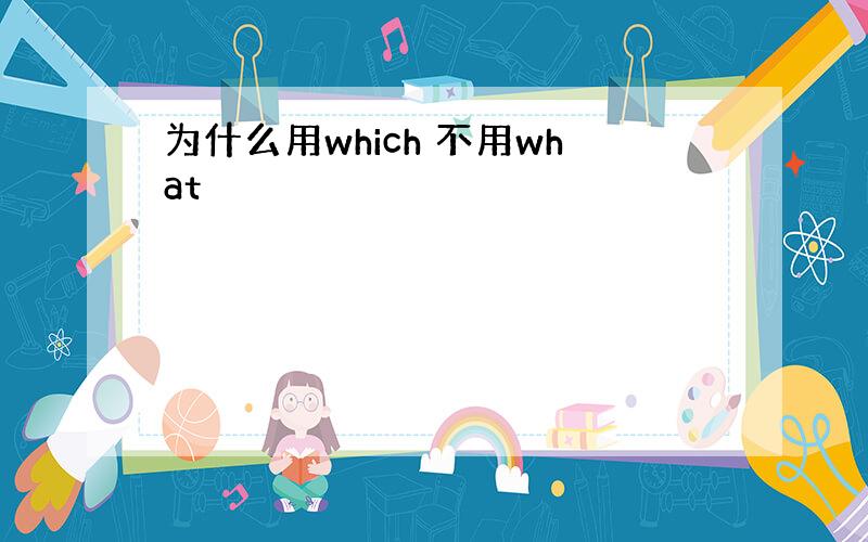 为什么用which 不用what