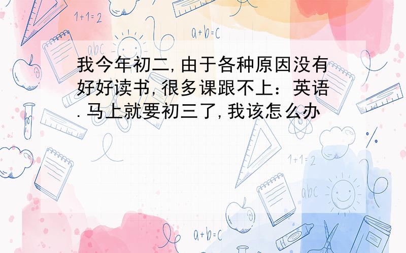 我今年初二,由于各种原因没有好好读书,很多课跟不上：英语.马上就要初三了,我该怎么办