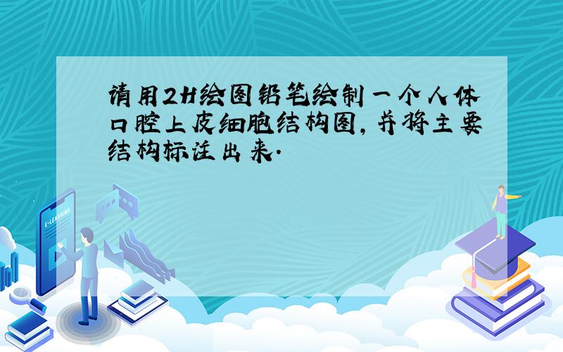 请用2H绘图铅笔绘制一个人体口腔上皮细胞结构图,并将主要结构标注出来.