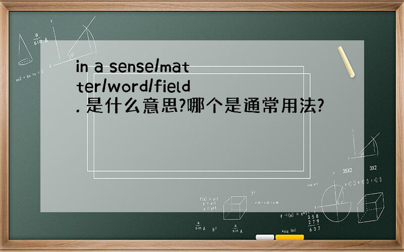 in a sense/matter/word/field. 是什么意思?哪个是通常用法?