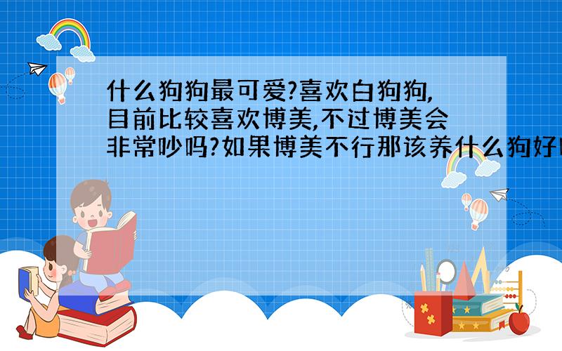 什么狗狗最可爱?喜欢白狗狗,目前比较喜欢博美,不过博美会非常吵吗?如果博美不行那该养什么狗好呢?我可是新手.