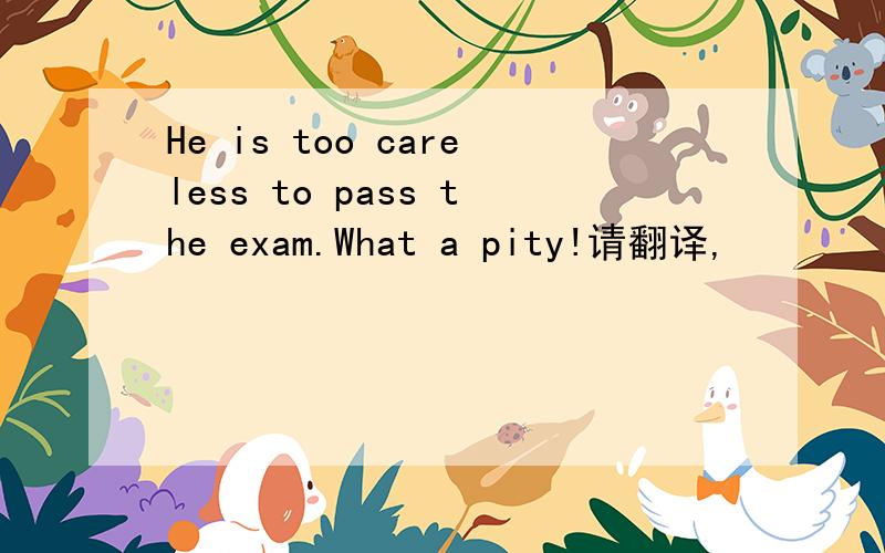 He is too careless to pass the exam.What a pity!请翻译,