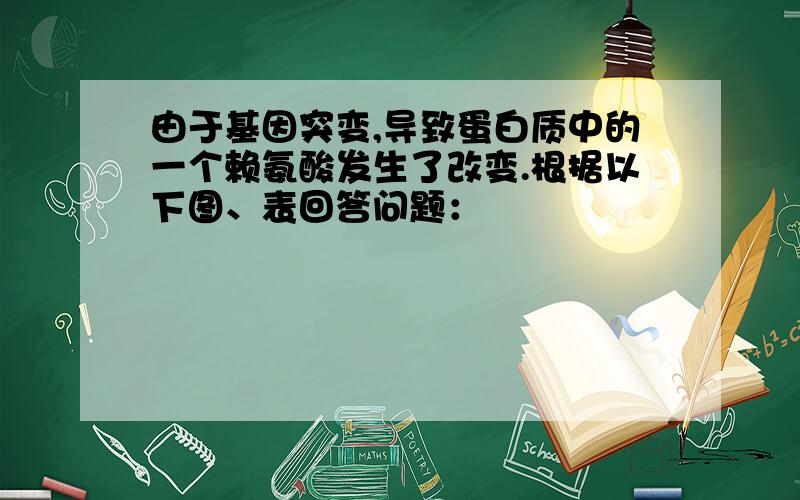 由于基因突变,导致蛋白质中的一个赖氨酸发生了改变.根据以下图、表回答问题：