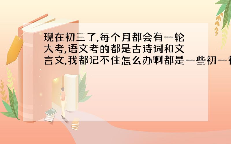 现在初三了,每个月都会有一轮大考,语文考的都是古诗词和文言文,我都记不住怎么办啊都是一些初一初二的