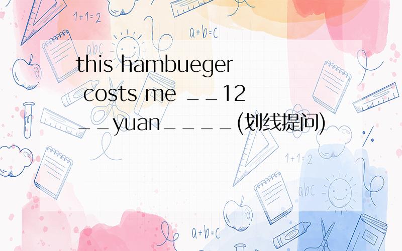 this hambueger costs me __12__yuan____(划线提问)