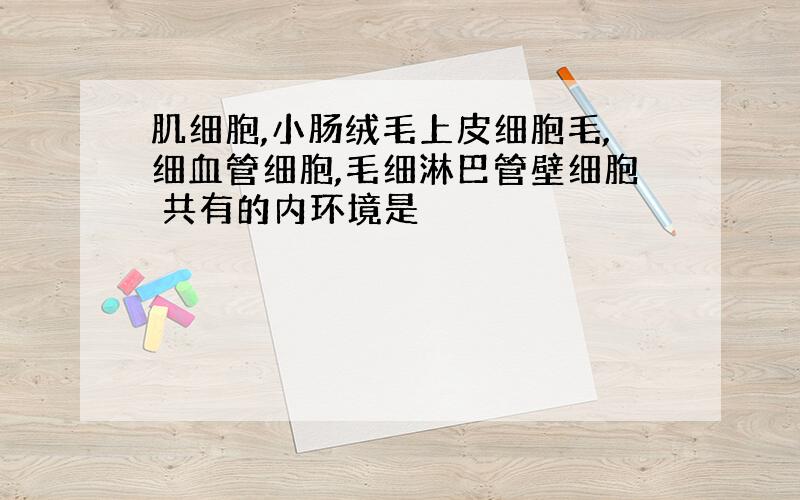 肌细胞,小肠绒毛上皮细胞毛,细血管细胞,毛细淋巴管壁细胞 共有的内环境是