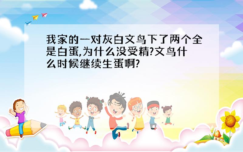 我家的一对灰白文鸟下了两个全是白蛋,为什么没受精?文鸟什么时候继续生蛋啊?