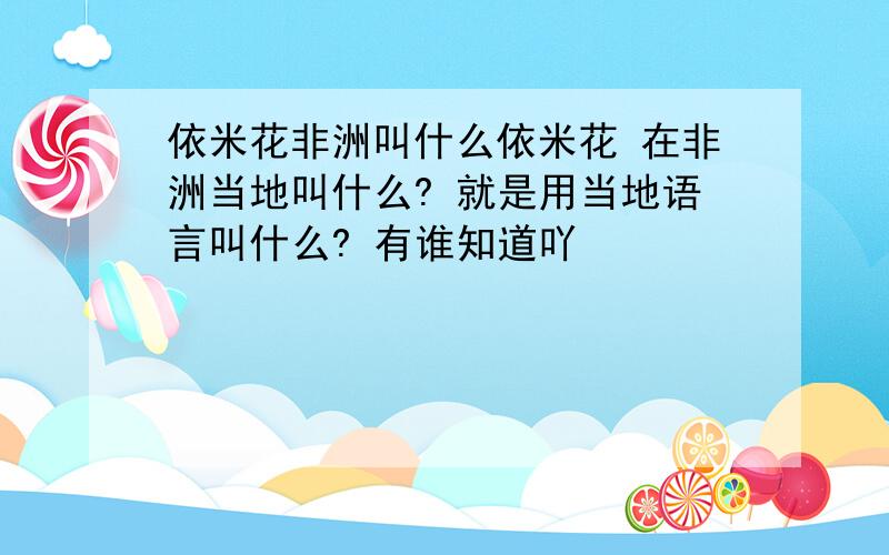 依米花非洲叫什么依米花 在非洲当地叫什么? 就是用当地语言叫什么? 有谁知道吖