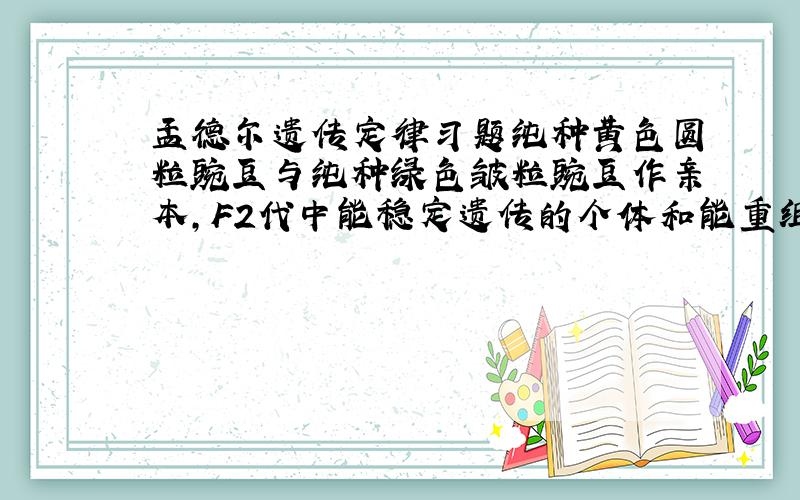 孟德尔遗传定律习题纯种黄色圆粒豌豆与纯种绿色皱粒豌豆作亲本,F2代中能稳定遗传的个体和能重组类型个体所占比例为?（要具体