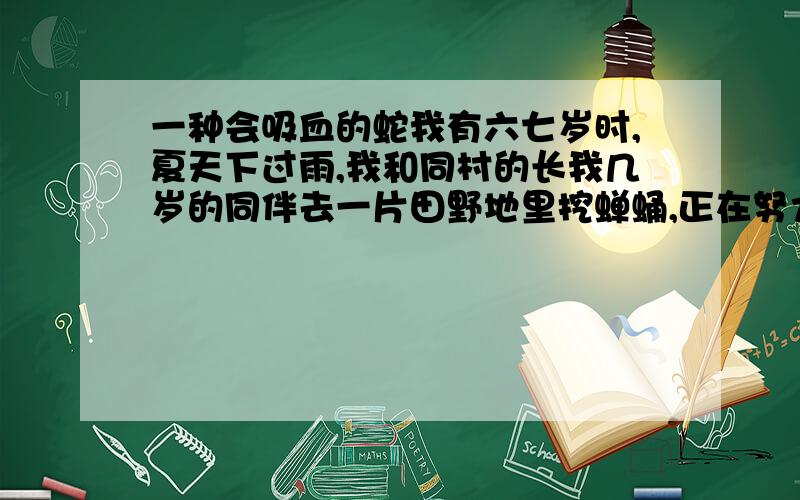 一种会吸血的蛇我有六七岁时,夏天下过雨,我和同村的长我几岁的同伴去一片田野地里挖蝉蛹,正在努力挖的时候,听到一种声音类似