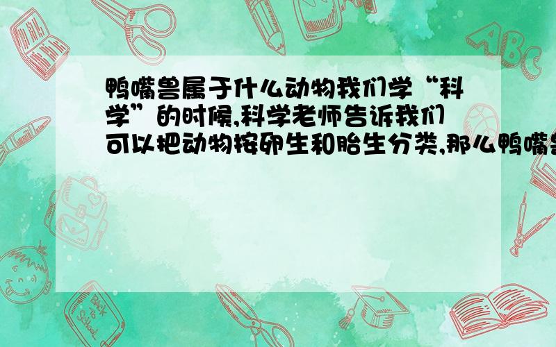 鸭嘴兽属于什么动物我们学“科学”的时候,科学老师告诉我们可以把动物按卵生和胎生分类,那么鸭嘴兽属于哪类,是不是卵胎生（好