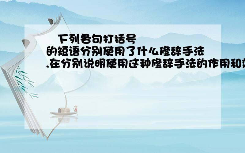 ​下列各句打括号的短语分别使用了什么修辞手法,在分别说明使用这种修辞手法的作用和效果