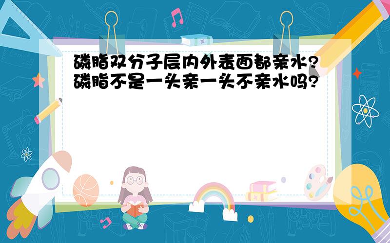 磷脂双分子层内外表面都亲水?磷脂不是一头亲一头不亲水吗?