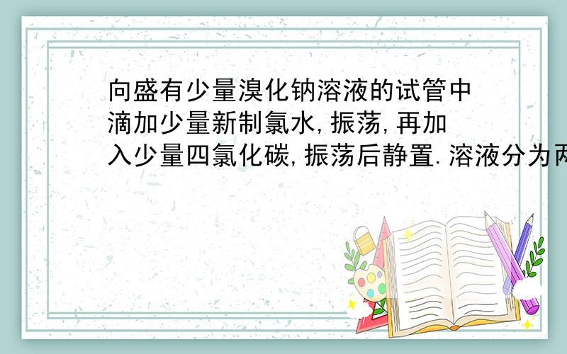 向盛有少量溴化钠溶液的试管中滴加少量新制氯水,振荡,再加入少量四氯化碳,振荡后静置.溶液分为两层,下层成什么颜色,为什么