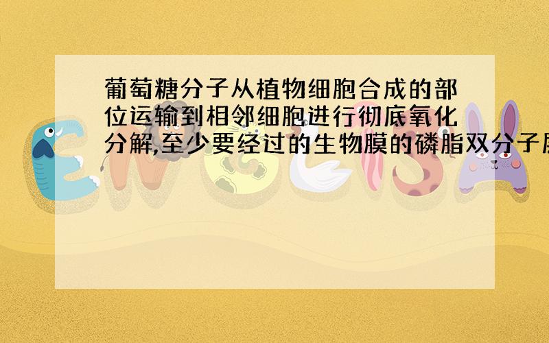 葡萄糖分子从植物细胞合成的部位运输到相邻细胞进行彻底氧化分解,至少要经过的生物膜的磷脂双分子层数是