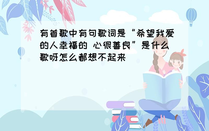 有首歌中有句歌词是“希望我爱的人幸福的 心很善良”是什么歌呀怎么都想不起来