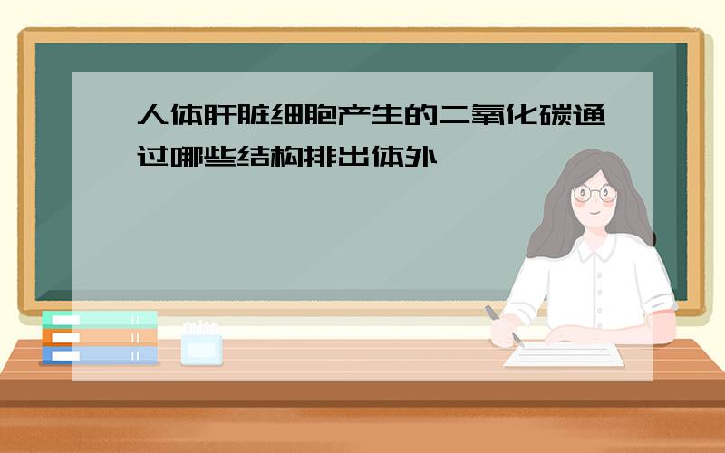 人体肝脏细胞产生的二氧化碳通过哪些结构排出体外