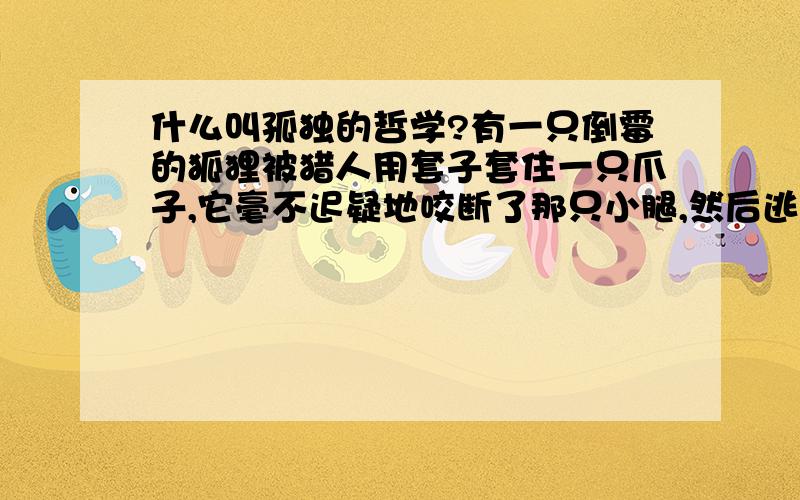 什么叫孤独的哲学?有一只倒霉的狐狸被猎人用套子套住一只爪子,它毫不迟疑地咬断了那只小腿,然后逃命.放弃一直腿而保全一条性