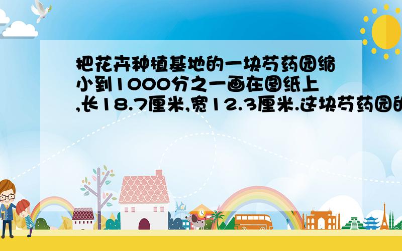 把花卉种植基地的一块芍药园缩小到1000分之一画在图纸上,长18.7厘米,宽12.3厘米.这块芍药园的实际长和宽各是多少