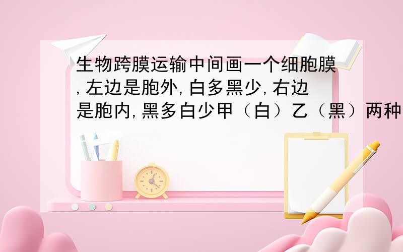 生物跨膜运输中间画一个细胞膜,左边是胞外,白多黑少,右边是胞内,黑多白少甲（白）乙（黑）两种物质在细胞膜两侧的分布如上（