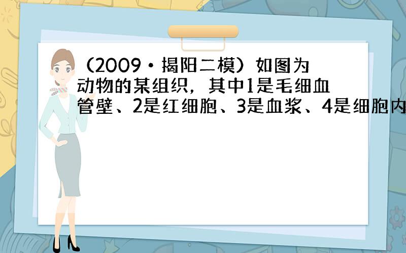 （2009•揭阳二模）如图为动物的某组织，其中1是毛细血管壁、2是红细胞、3是血浆、4是细胞内液、5是组织液，据图判断下