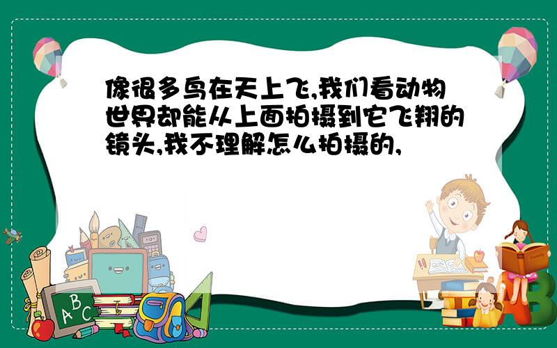 像很多鸟在天上飞,我们看动物世界却能从上面拍摄到它飞翔的镜头,我不理解怎么拍摄的,