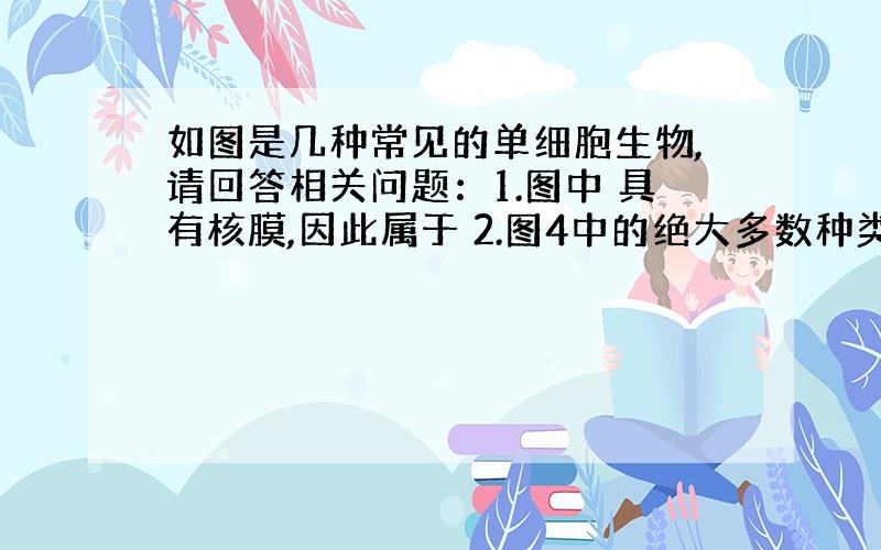 如图是几种常见的单细胞生物,请回答相关问题：1.图中 具有核膜,因此属于 2.图4中的绝大多数种类营