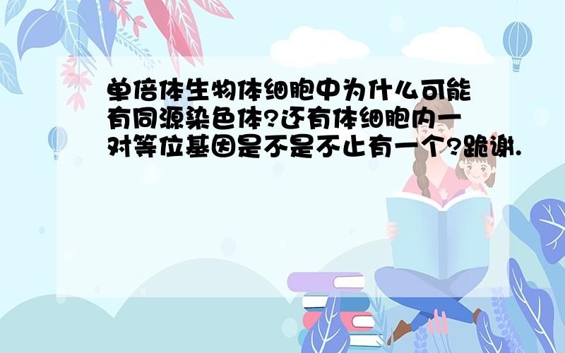 单倍体生物体细胞中为什么可能有同源染色体?还有体细胞内一对等位基因是不是不止有一个?跪谢.