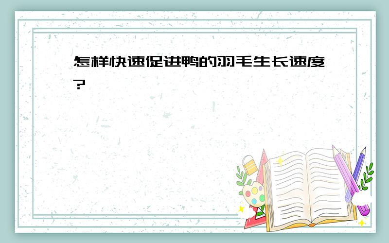 怎样快速促进鸭的羽毛生长速度?