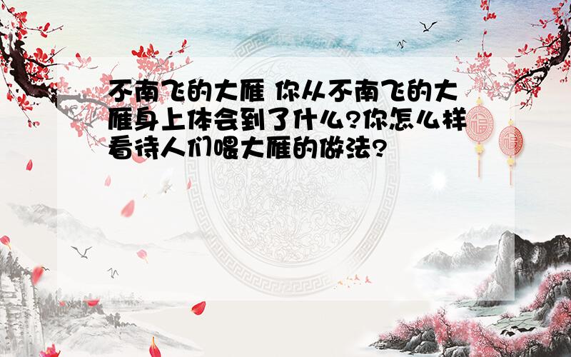 不南飞的大雁 你从不南飞的大雁身上体会到了什么?你怎么样看待人们喂大雁的做法?