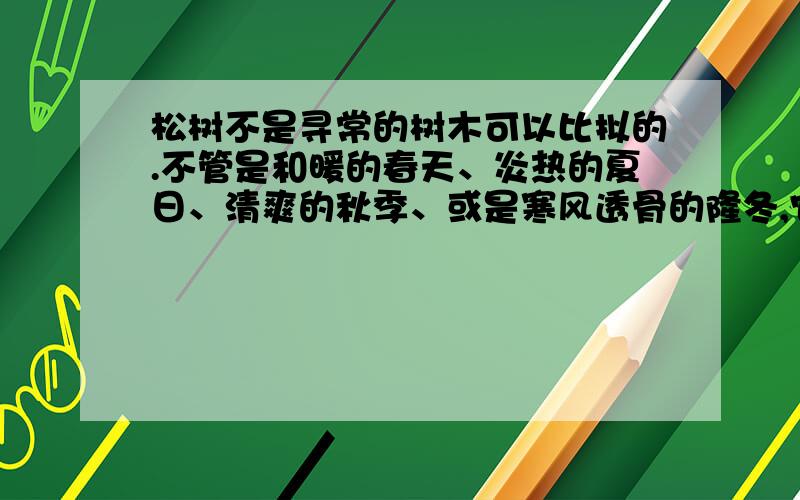 松树不是寻常的树木可以比拟的.不管是和暖的春天、炎热的夏日、清爽的秋季、或是寒风透骨的隆冬,它都一样青葱苍翠和茂密,充分