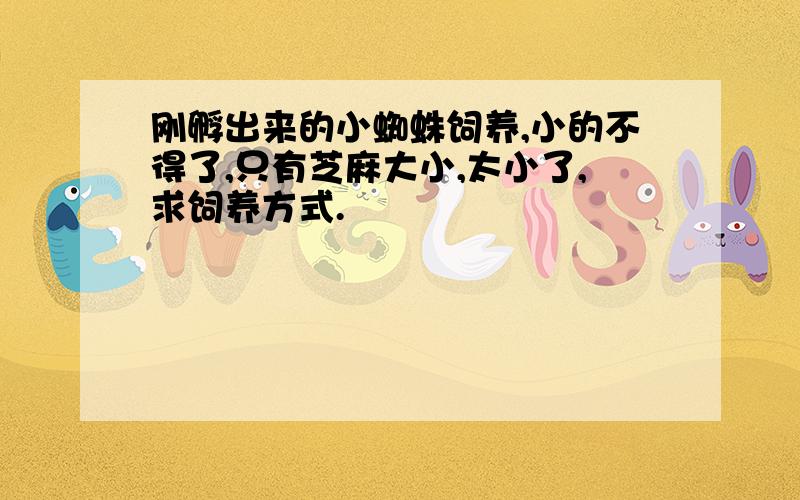 刚孵出来的小蜘蛛饲养,小的不得了,只有芝麻大小,太小了,求饲养方式.