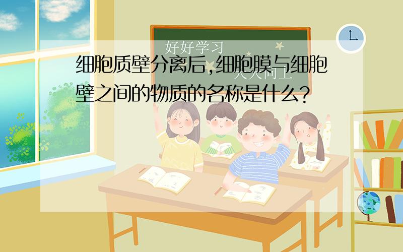 细胞质壁分离后,细胞膜与细胞壁之间的物质的名称是什么?