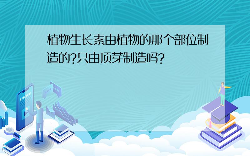 植物生长素由植物的那个部位制造的?只由顶芽制造吗?