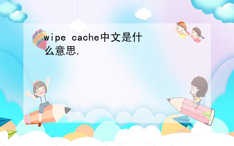 wipe cache中文是什么意思,