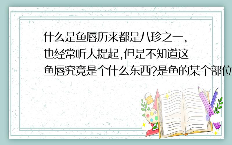 什么是鱼唇历来都是八珍之一,也经常听人提起,但是不知道这鱼唇究竟是个什么东西?是鱼的某个部位还是其他什么.望知者不吝赐教