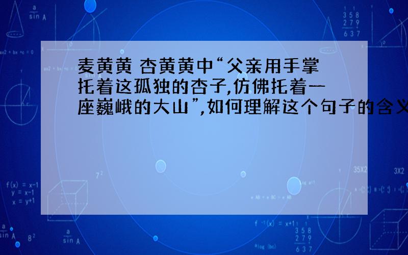 麦黄黄 杏黄黄中“父亲用手掌托着这孤独的杏子,仿佛托着一座巍峨的大山”,如何理解这个句子的含义