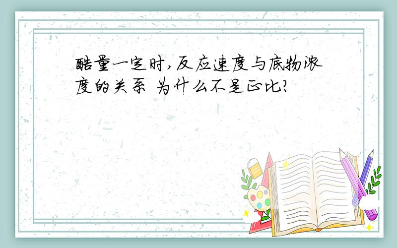 酶量一定时,反应速度与底物浓度的关系 为什么不是正比?