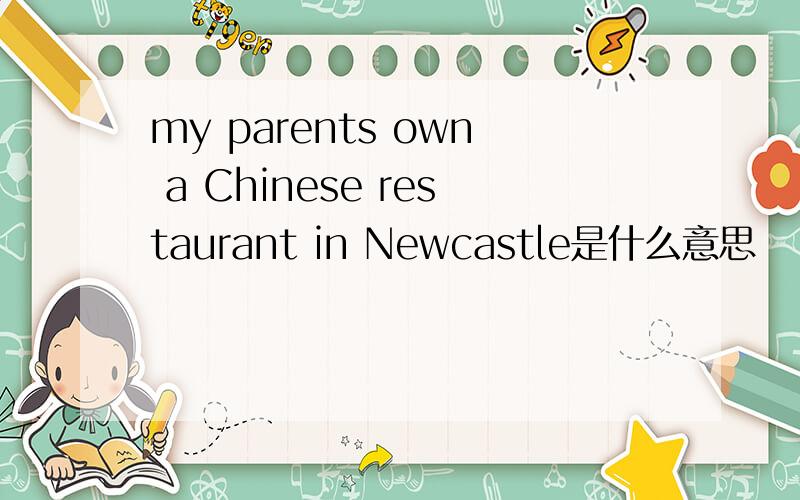 my parents own a Chinese restaurant in Newcastle是什么意思