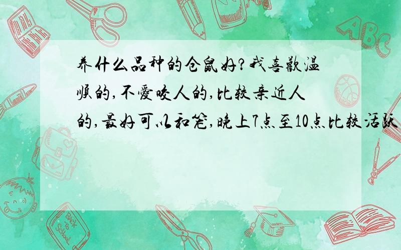 养什么品种的仓鼠好?我喜欢温顺的,不爱咬人的,比较亲近人的,最好可以和笼,晚上7点至10点比较活跃的,因为有的仓鼠是0点