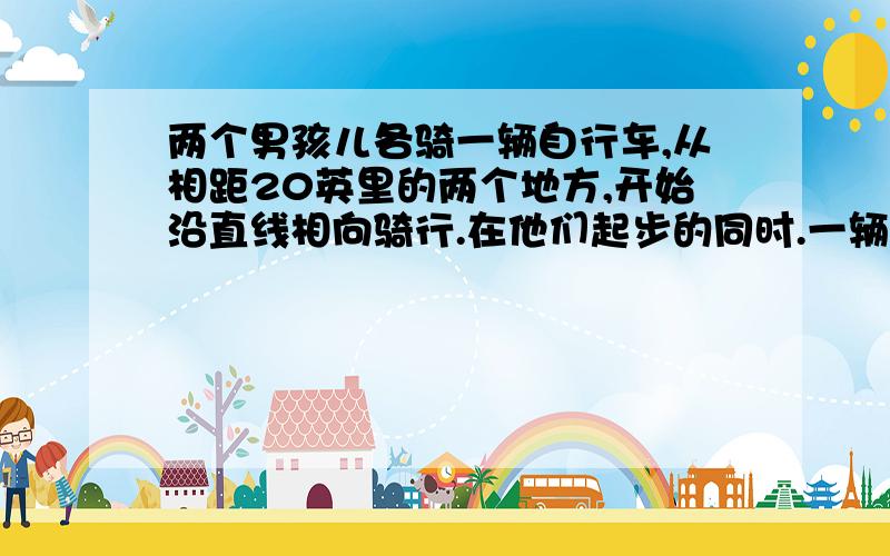 两个男孩儿各骑一辆自行车,从相距20英里的两个地方,开始沿直线相向骑行.在他们起步的同时.一辆自行车车把上的一只苍蝇,开