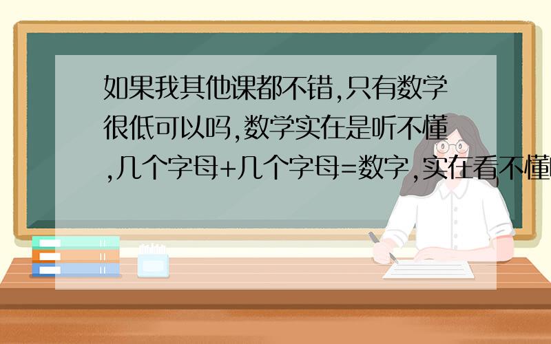 如果我其他课都不错,只有数学很低可以吗,数学实在是听不懂,几个字母+几个字母=数字,实在看不懂啊,如果我每科都很好,只有