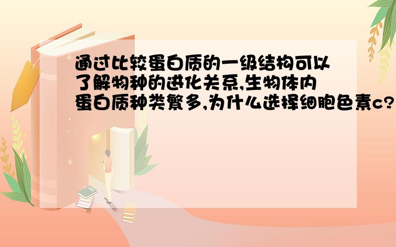 通过比较蛋白质的一级结构可以了解物种的进化关系,生物体内蛋白质种类繁多,为什么选择细胞色素c?