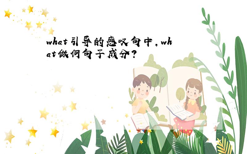 what引导的感叹句中,what做何句子成分?