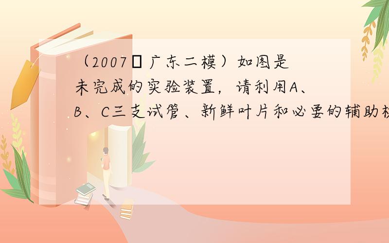 （2007•广东二模）如图是未完成的实验装置，请利用A、B、C三支试管、新鲜叶片和必要的辅助材料，设计一个证明光合作用吸